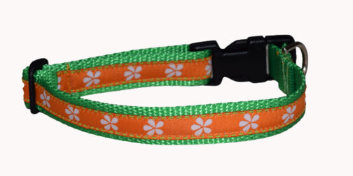 Daisy Orange Dog Collar