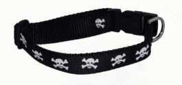 Skull and Crossbones