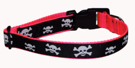 Skull and Crossbones