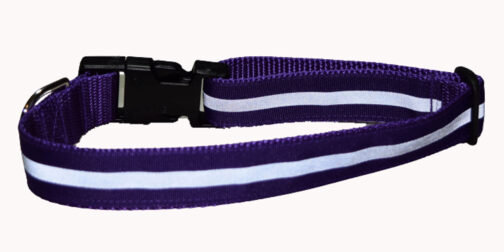 Reflective Purple Dog Collar