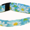 Daisy Turquoise Small Dog and Cat Collar