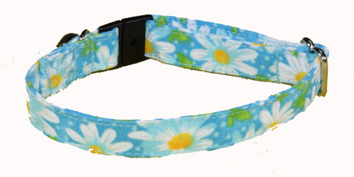 Daisy Turquoise Small Dog and Cat Collar