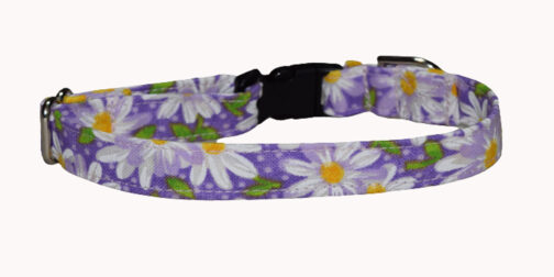 Daisy Purple Small Dog and Cat Collar