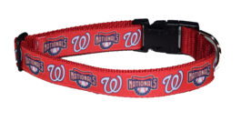 Washington Nationals