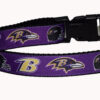 Raven Dog Collar