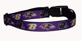 Baltimore Ravens