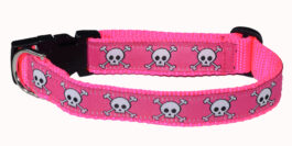 Skull and Crossbones Pink