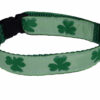 Shamrock Dog and Car Collar