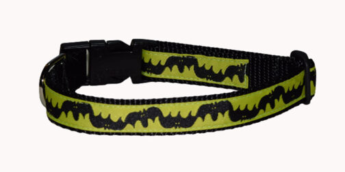 Bats Dog Collar