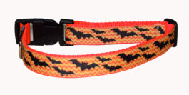 Bats Orange