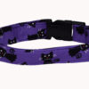 Halloween Cats Dog Collar