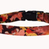 Fall Leaves Dog Collar