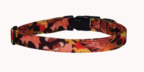 Fall Leaves Dog Collar