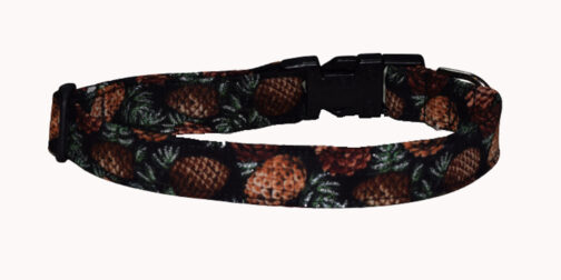 pinecoes dog collar