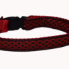 Celtic Red Dog and Cat Collar