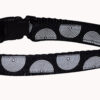 Circles Black Dog and Cat Collars