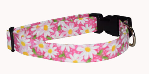 Flower Daisy Pink Dog Collar