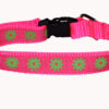 Flower Green Pink Dog and Cat Collar