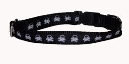 Pirate Skull and Crossbones