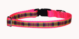 Plaid Pink Yellow