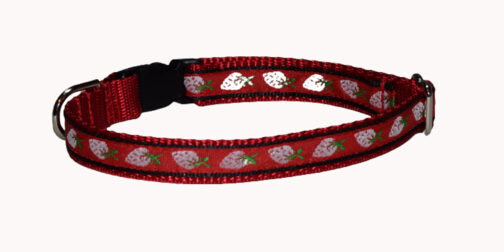 Strawberry Dog and Cat Collar