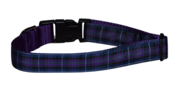 Plaid Purple