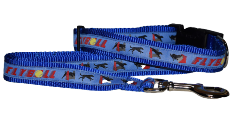 Flyball Large Collar Leash Blue