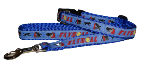 Flyball Medium Collar Leash Blue